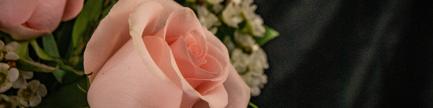 Roses and Romance
